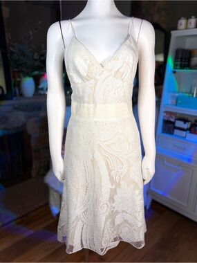 Yigal Azrouel Cream & Silver Paisley 2-Layer Devore Lace Dress Szs 4, 6, 10 & 12